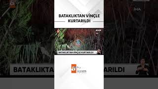 Saatlerce mahsur kaldı, vinçle kurtarıldı #atvhaber #antalya #shorts