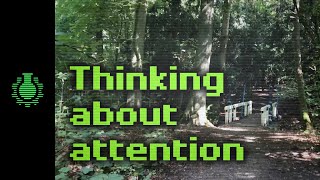 Thinking About Attention -- Walk with Me