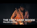 The Deep Dark Woods | Fallen Leaves | First Play Live