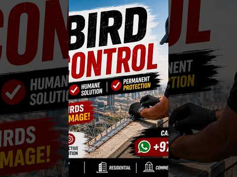 Bird control installation video 3