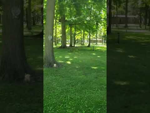 Heartland Campground