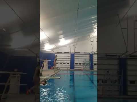 101 C Front Dive Tuck Position-1m springboard
