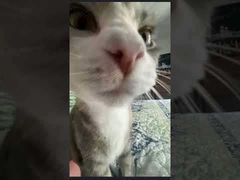 Don’t u dare mess with my gang #memes