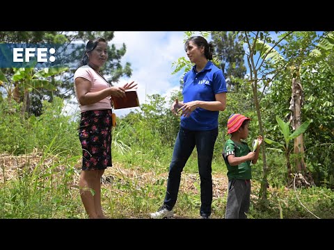 El PMA apoya a campesinos en Jalapa ante riesgo de sequía por El Niño