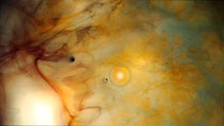 Dog Shelter. Burial.