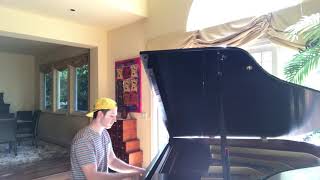 Bluish (Animal Collective) piano cover Dylan Harari