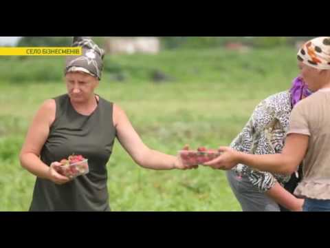 На Кременеччині знайшли найбагатше українське село