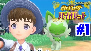 【実況】旅の相棒は君に決めた！「ポケットモンスター バイオレット」　#1