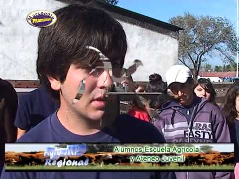 Angus Otoño en Bolivar, Nota Ulises Puebla Ateneo Juvenil  Bolivar