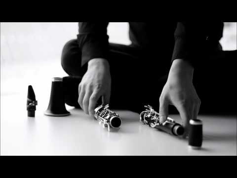 Jiří Teml - Concerto doppio for two clarinets, II. Concerto buffo