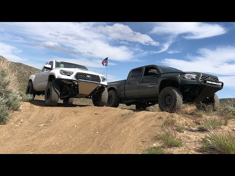 2024 MOONROCKS - YODAMAN - FIRST TRIP IN THE NEW TACO