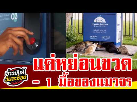 คลิกเพื่อดูคลิปวิดีโอ