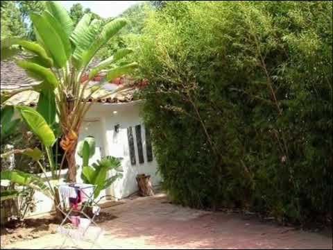 Marilyn Monroe's Guest Cottage off of 5th Helena Drive.