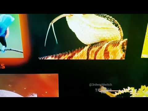 3RD W╳RLD W╳₸CH - GR33N S3∀S ∀ND P∐RPL3 SKᏆ3S