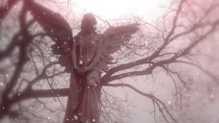 ⁺˚*･༓☾ into the cave we wander [slowed down]