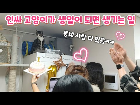 꼬물이 때부터 함께한 이웃 친구들이 보름이의 첫 생일