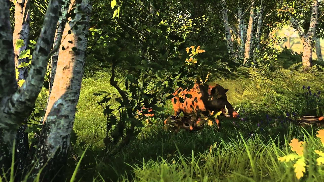 Trailer di WiLD