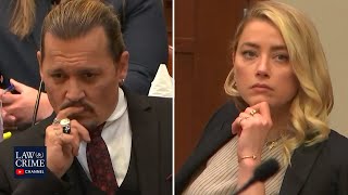 Amber Heard&#39;s Witnesses Testify in the Defamation Trial (Johnny Depp v Amber Heard)