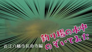 釣り場の水中のぞいてみた：近江八幡市長命寺編