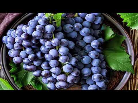download lagu mp3 mp4 Korean Grapes Benefits, download lagu Korean Grapes Benefits gratis, unduh video klip Korean Grapes Benefits