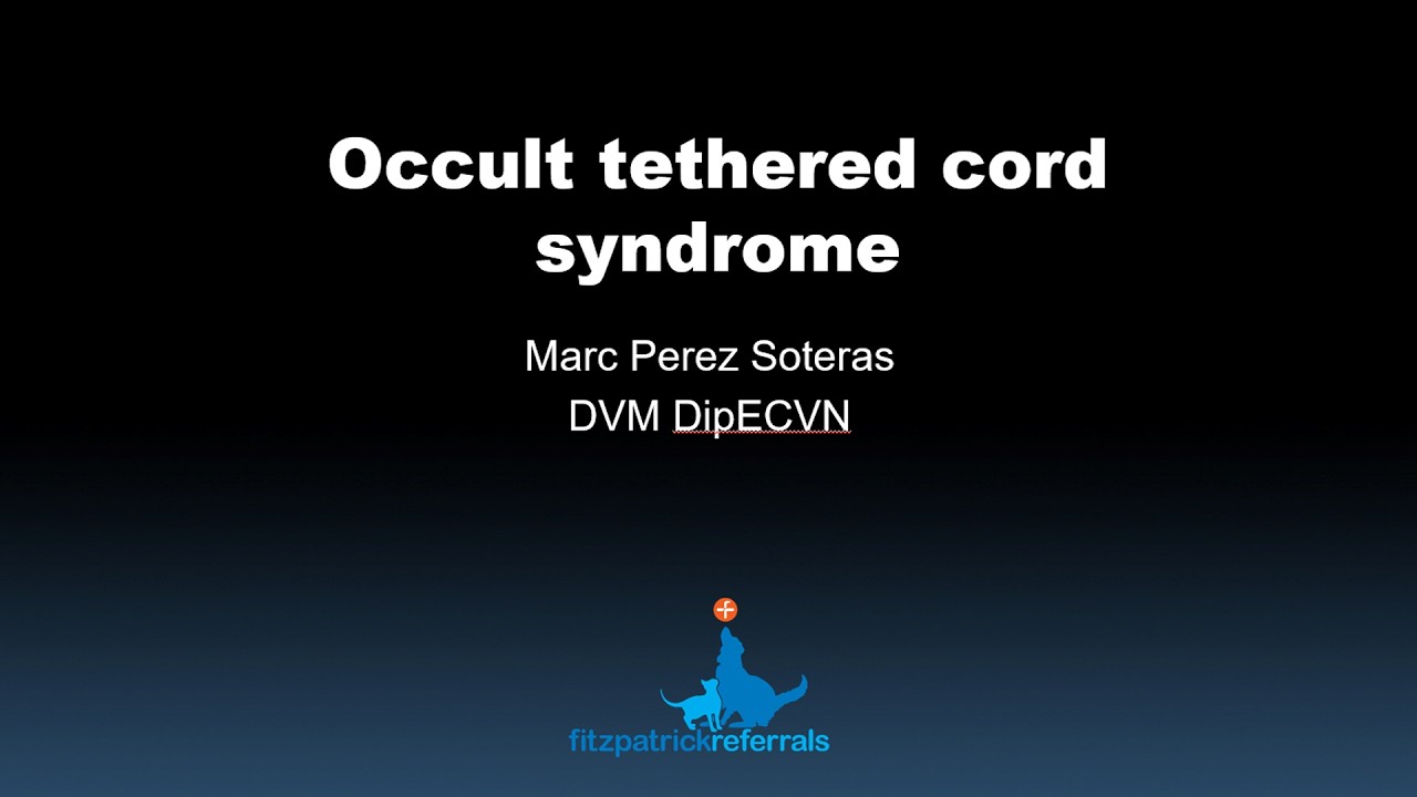 Occult tethered cord syndrome: recognising an underdiagnosed cause of neurological dysfunction