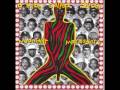 A Tribe Called Quest - Steve Biko (Stir it Up)