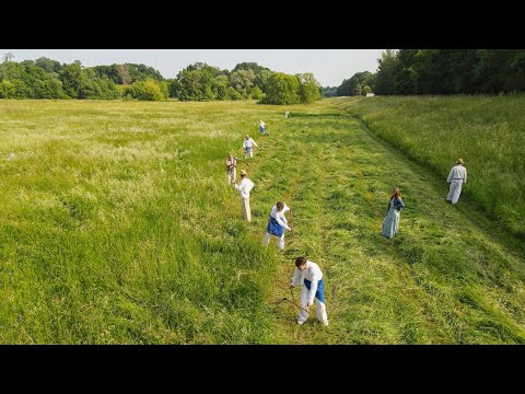 Kúty, Svatovítske kosení