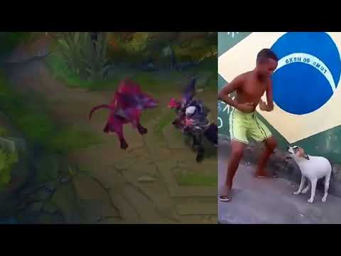 lol darius dance brasilian dog