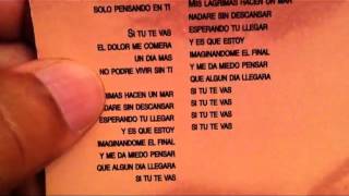 Si Tu Te Vas Lyrics and English Translation (Enrique Iglesias) - Let&#39;s Learn Spanish Together