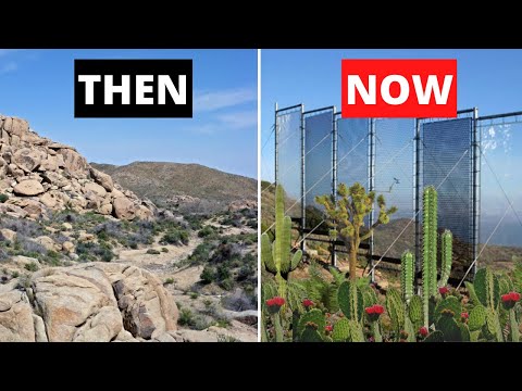 How Sahara Fog Nets Create Water and Life in Africa