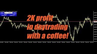 Download the video "#378 daily trading profits I turned 764,92 USD into 509.844,23 USD"