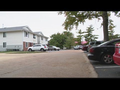 Carjackings just won't stop. So, how do you protect yourself while pumping gas? | ksdk.com