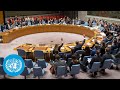 United Nations - LIVE