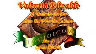 Delante De Mi - Valentin Elizalde