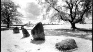 Linton Kwesi Johnson--Want Fi Goh Rave