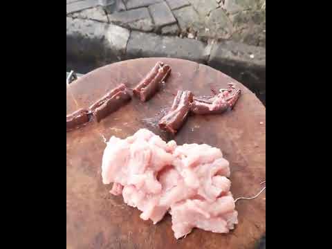 Giant Snake Soup - Delicious Big Python Boil For Food - Wilderness Food