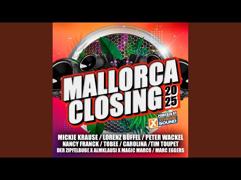 Mehr Promille als IQ