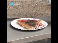 Muis geniet van Nutella-pannenkoek in etalage