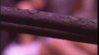 Michelle McAdorey, Crash Vegas: On and On (Lodestar)