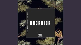 The Funk Baby (Original Mix)