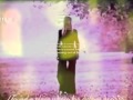 Momus: The Dowser