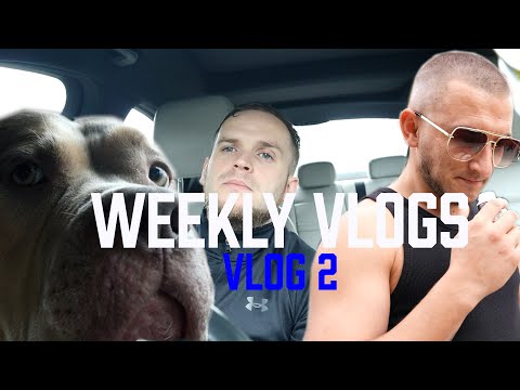 WEEKLY VLOG [VLOG 2] (XL BULLY WALK - NEW STUDIO - FAMILY - SMELLING SALTS! & MORE!