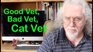 Good Vet, Bad Vet, Cat Vet