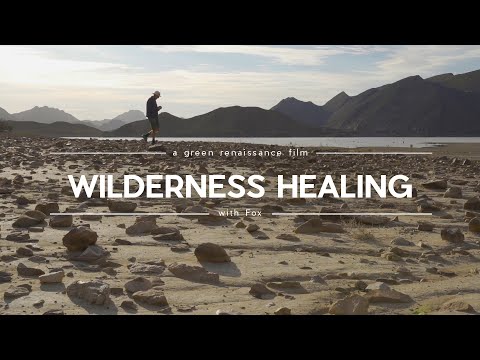 Wilderness Healing: Nature That Fixed My Soul