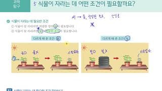 [초등과학 4-1 무료강의] 3. 식물의 한살이 ⑤ 식물이 자라는 데 어떤 조건이 필요할까요?