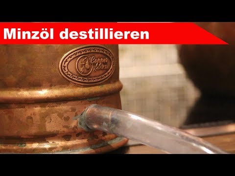 🌷 Mint distillation 🌻 - distilling essential oils at home - diSTILLed (German, English subs)