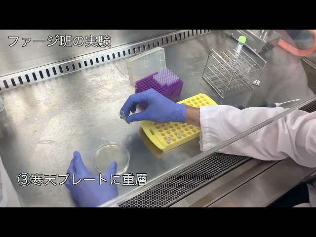 動画サムネイル