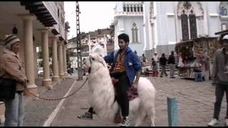 preview picture of video 'La Llama & El Felipe'