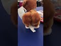 Sexy thick bitch shaking that ass Sexy thick bitch shaking that ass