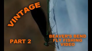 Fly Fishing Beaver's Bend Oklahoma - Part 1